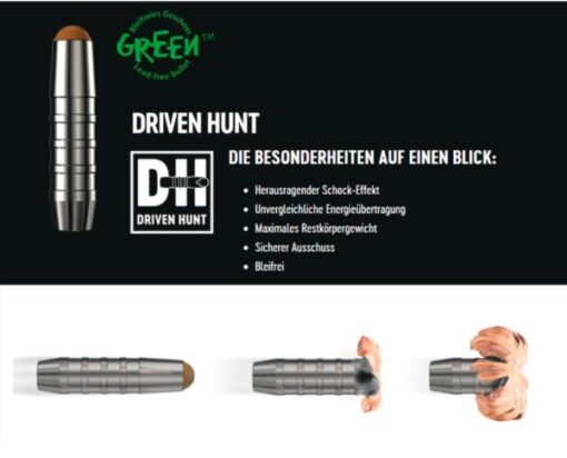 RWS Rifle Cartridges .30-06 DrivenHunt bleifrei 20 Stk 10,7g/165grs